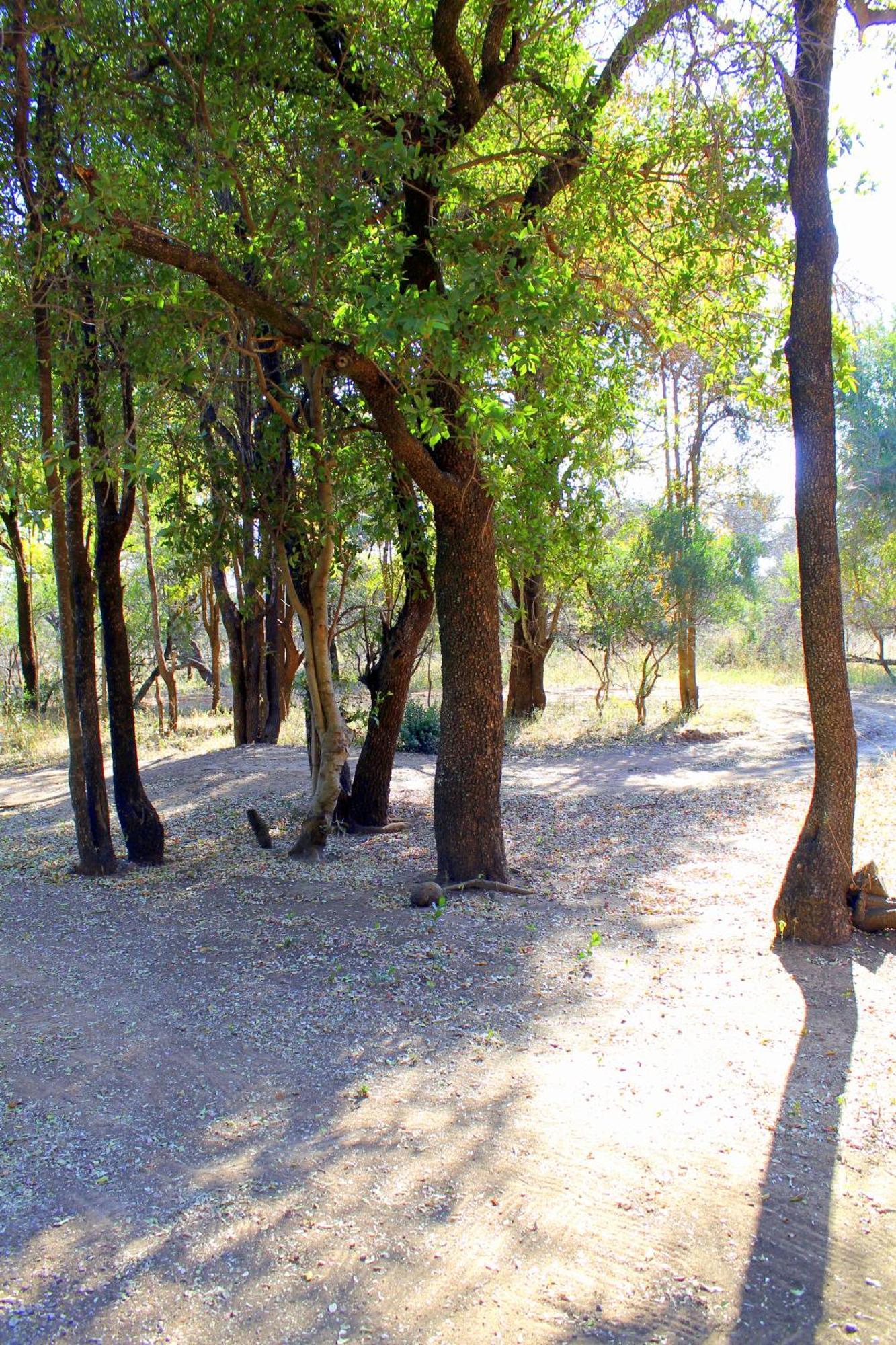 Ndlovu Log Home Dinokeng Klipdrift Extérieur photo